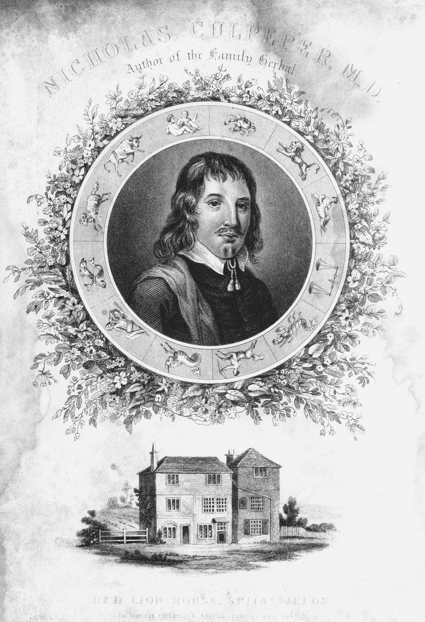Nicholas Culpepper by Unbekannt