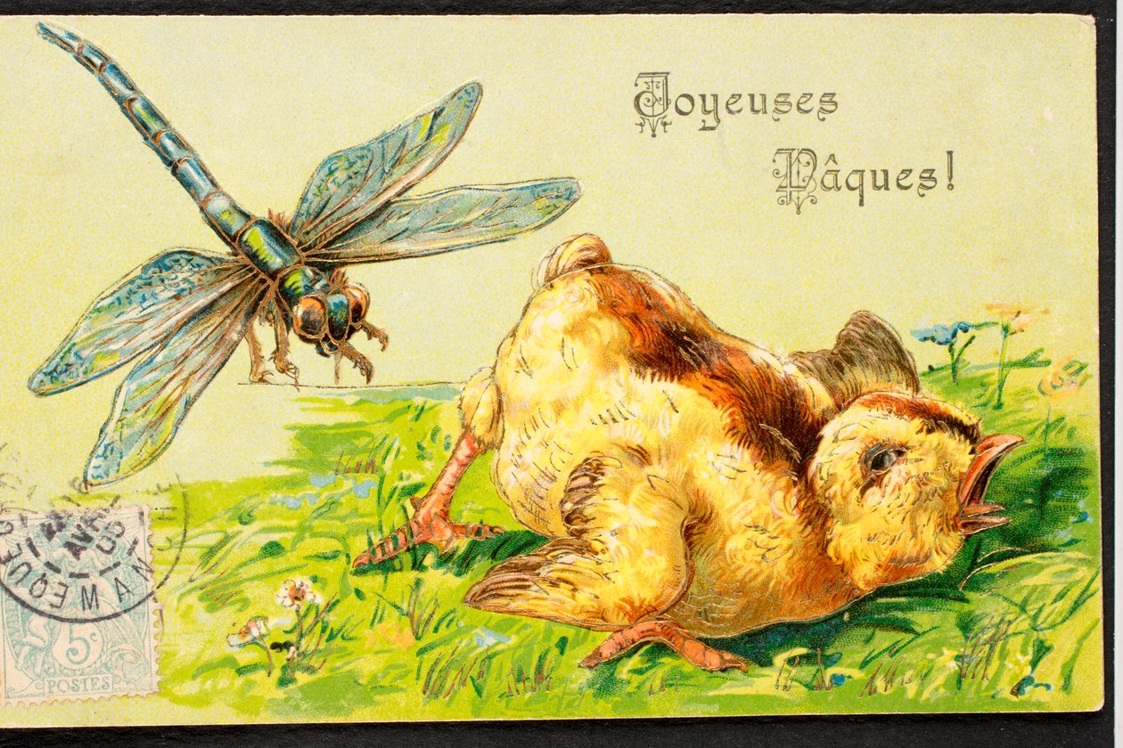 Happy Easter, Chick, Dragonfly by Unbekannt