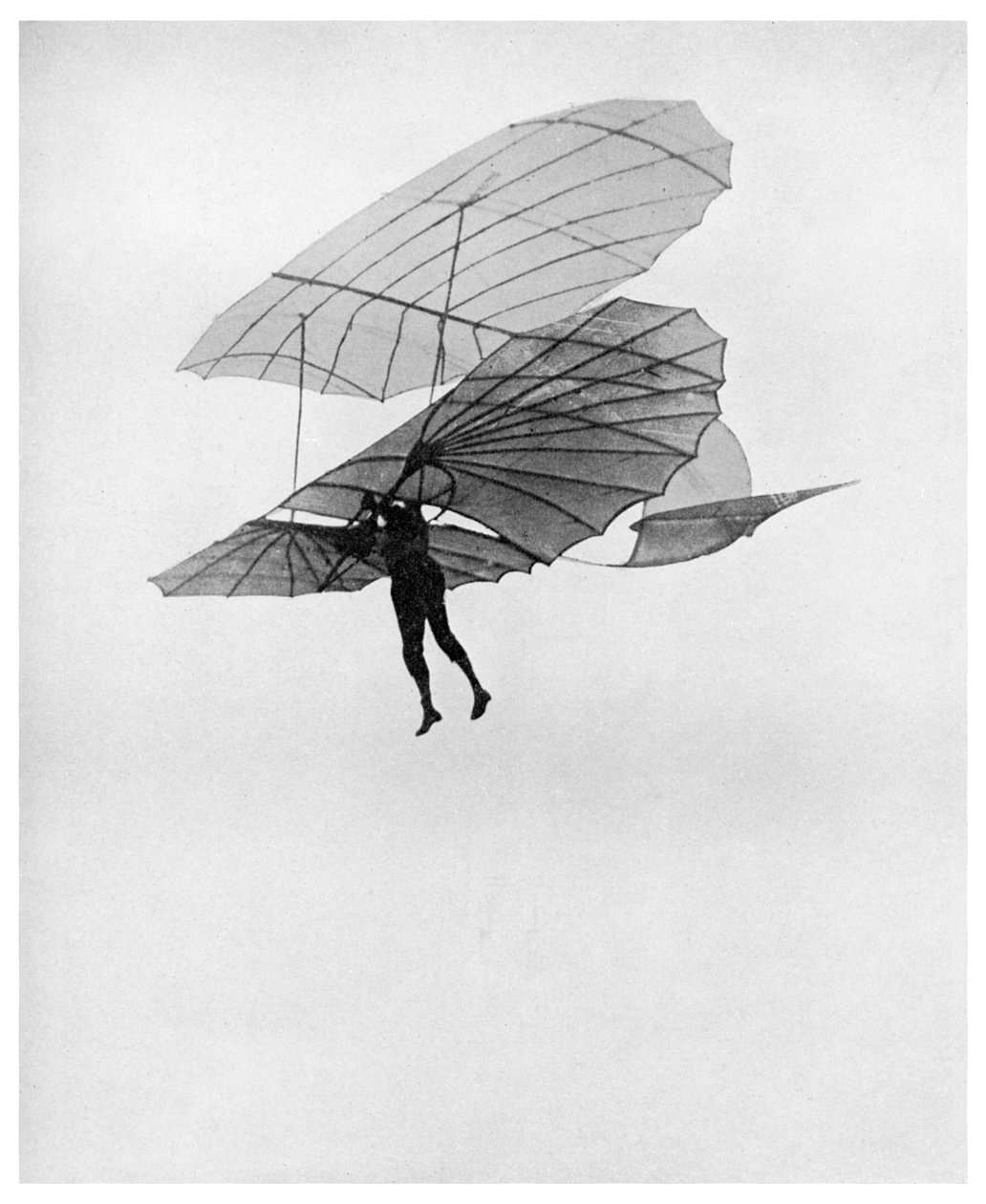 Otto Lilienthal makes one of his last flights, 1896 1956 by Unbekannt