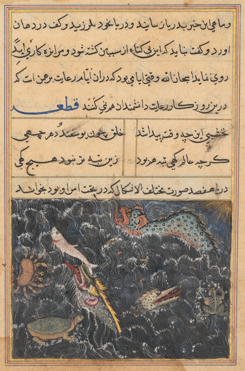 Page from Tales of a Parrot Tuti-nama: Eleventh night: The creatures of the sea by Unbekannt