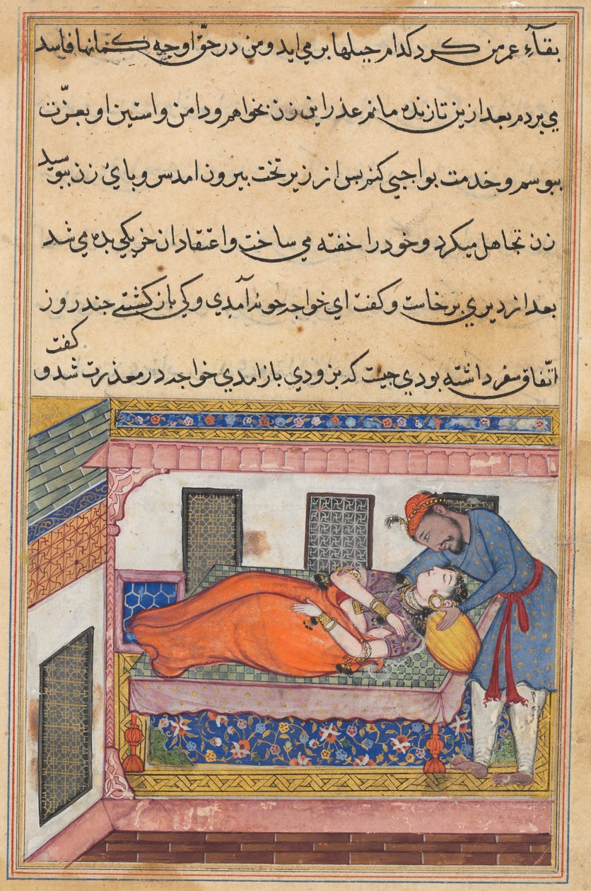 Page from Tales of a Parrot Tuti-nama: Fortieth night: Shahr-Arai