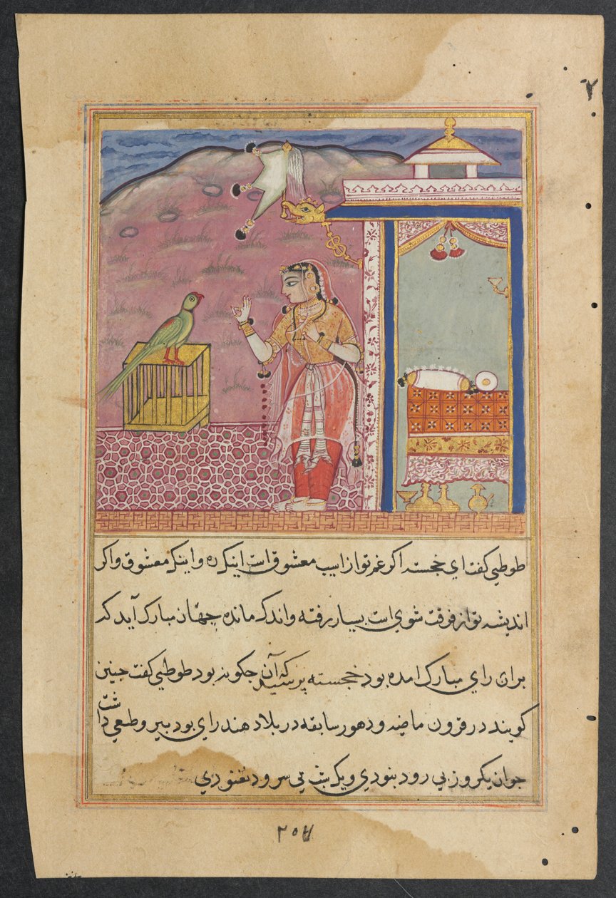 Page from Tales of a Parrot Tuti-nama: Forty-fourth Night: The Parrot Addresses by Unbekannt