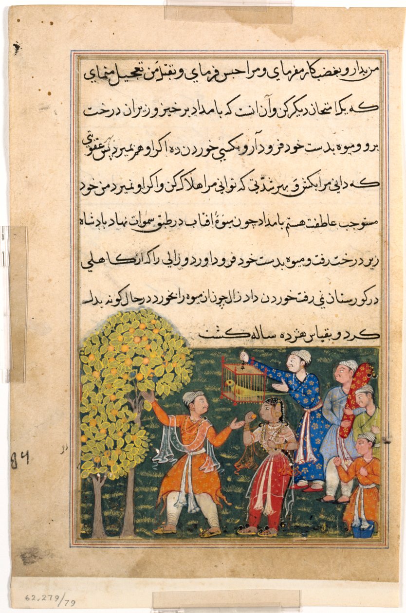 Page from Tales of a Parrot Tuti-nama: Ninth night: The king plucks fruit from the Tree by Unbekannt