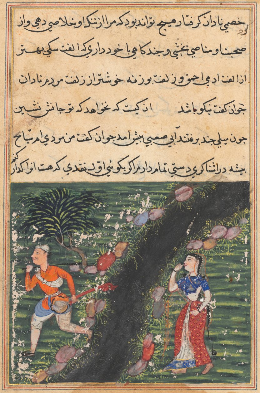 Page from Tales of a Parrot (Tuti-nama): Sixteenth night: The vagabond crosses..., c. 1560 by Unbekannt