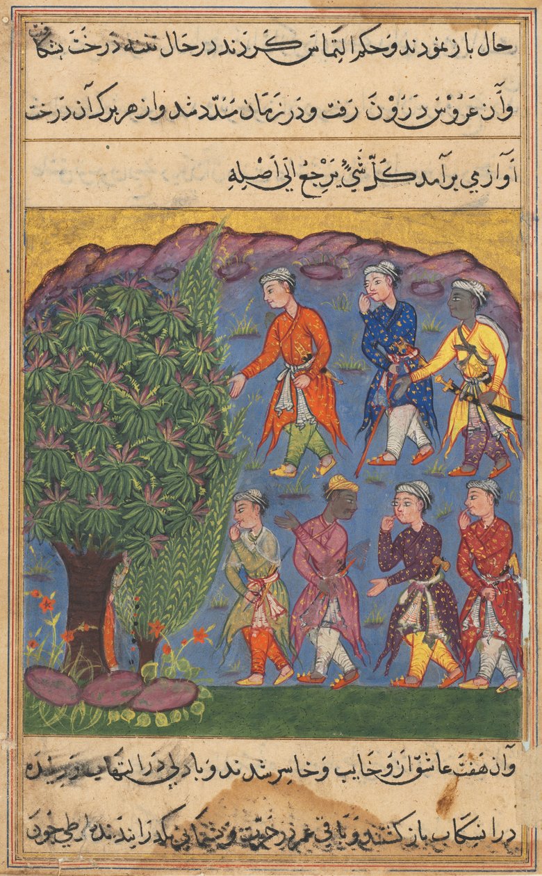 Page from Tales of a Parrot Tuti-nama: Sixth Night: Seven Men Disputing Possession by Unbekannt