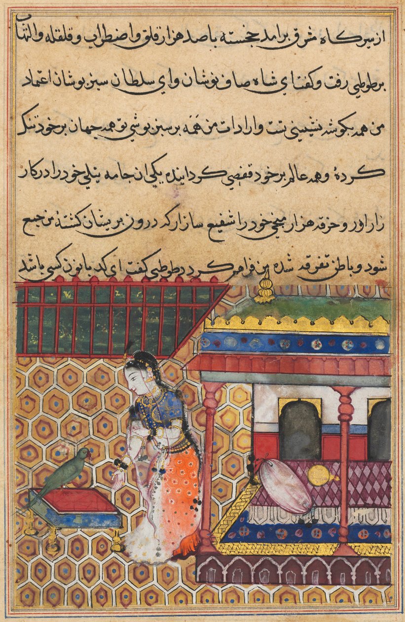 Page from Tales of a Parrot Tuti-nama: Thirty-Eight Night: The Parrot Addresses Khujasta by Unbekannt