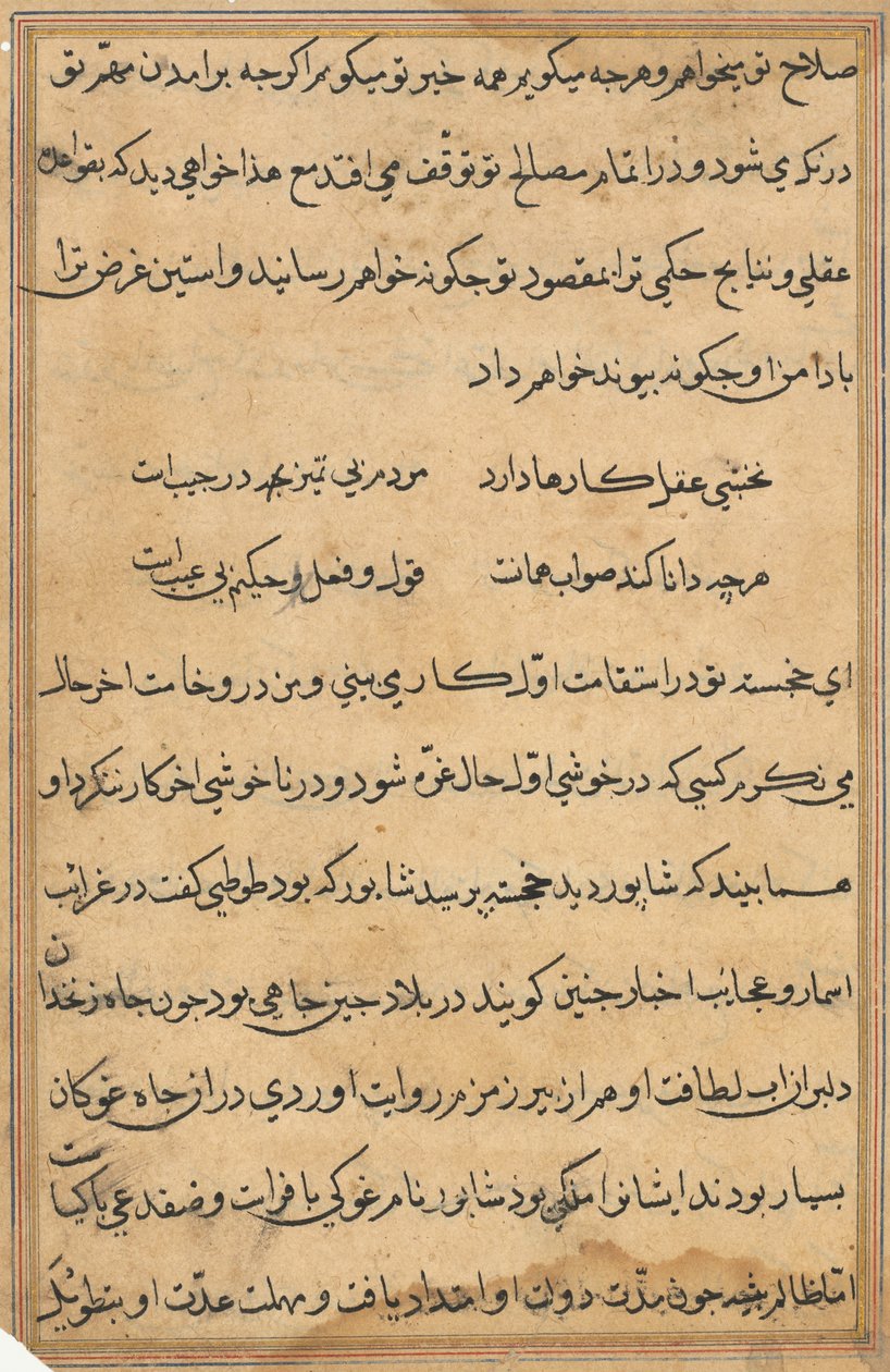 Page from Tales of a Parrot Tuti-nama: text page by Unbekannt