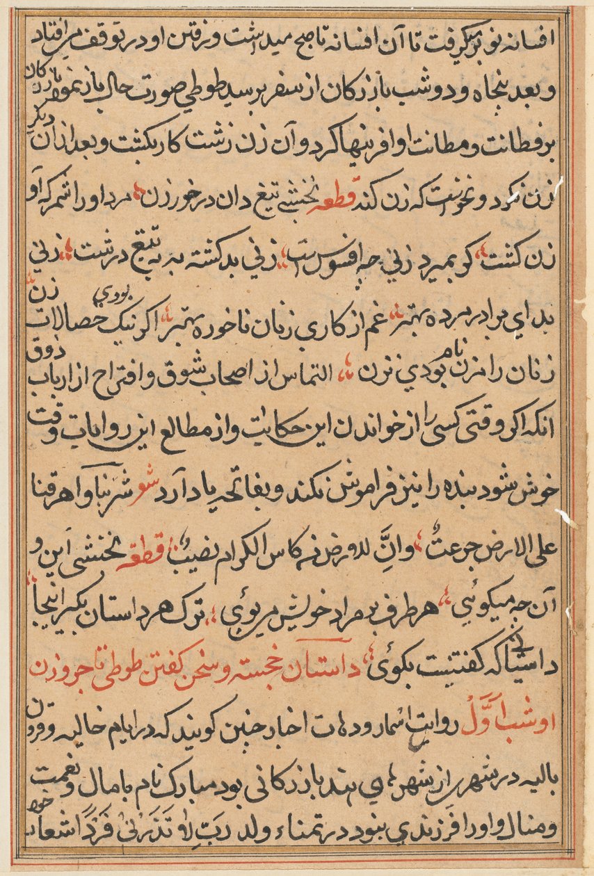 Page from Tales of a Parrot Tuti-nama: text page, c. 1560 by Unbekannt