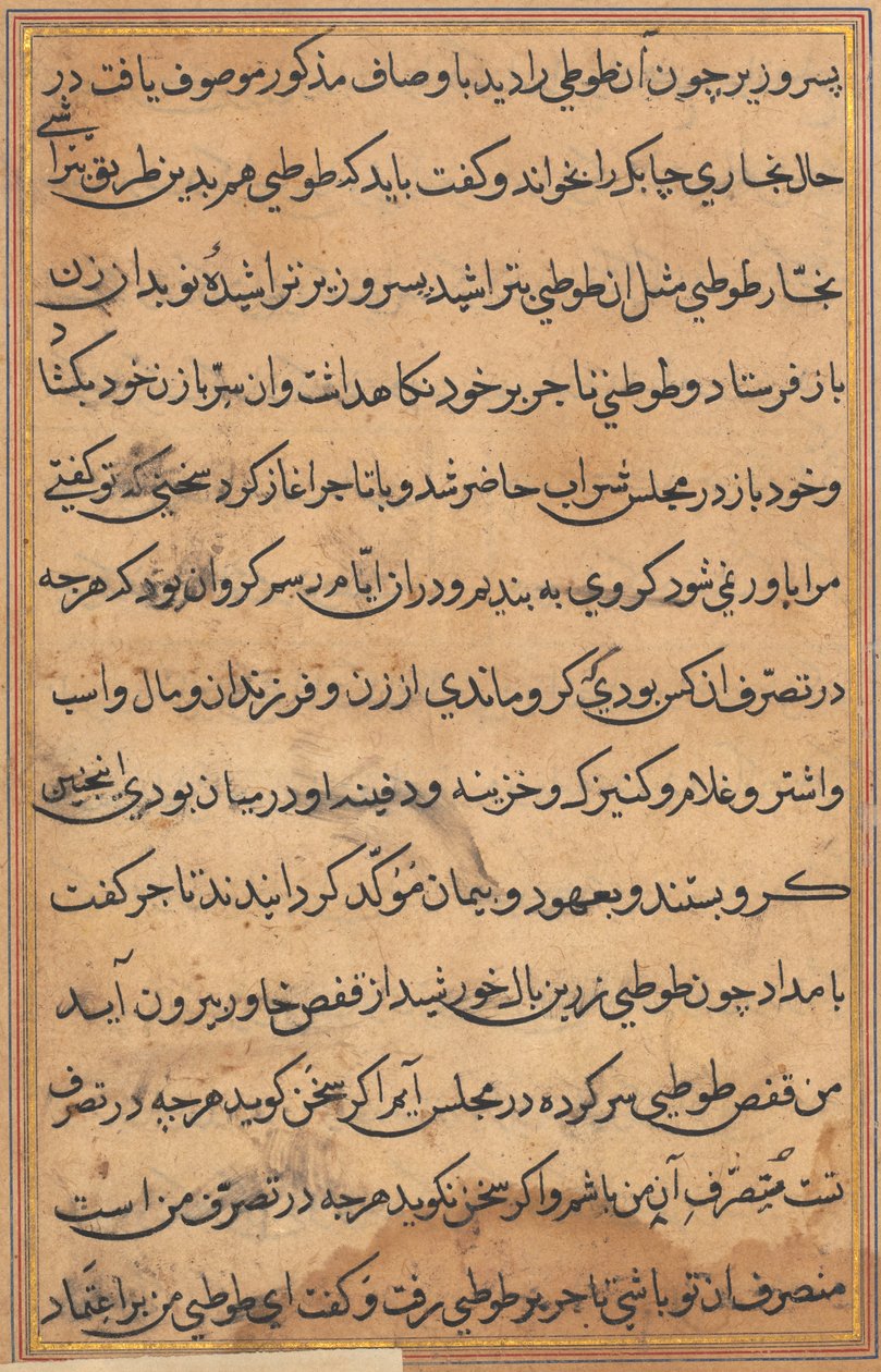 Page from Tales of a Parrot Tuti-nama: text page by Unbekannt