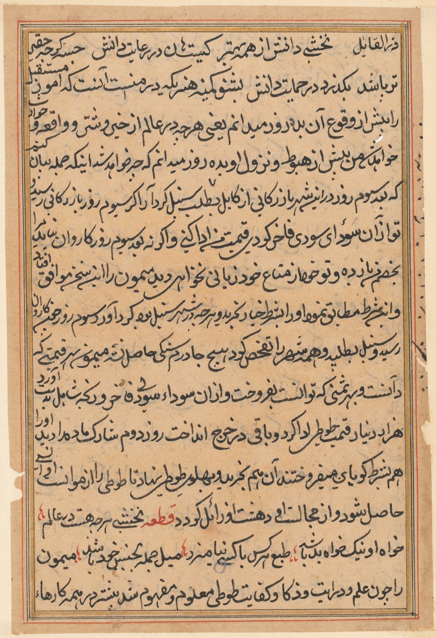 Page from Tales of a Parrot (Tuti-nama): text page, c. 1560 by Unbekannt
