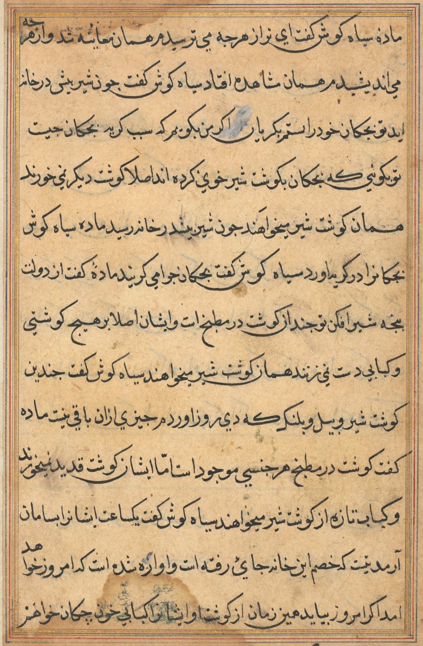 Page from Tales of a Parrot Tuti-nama: Text Page, c. 1560 by Unbekannt