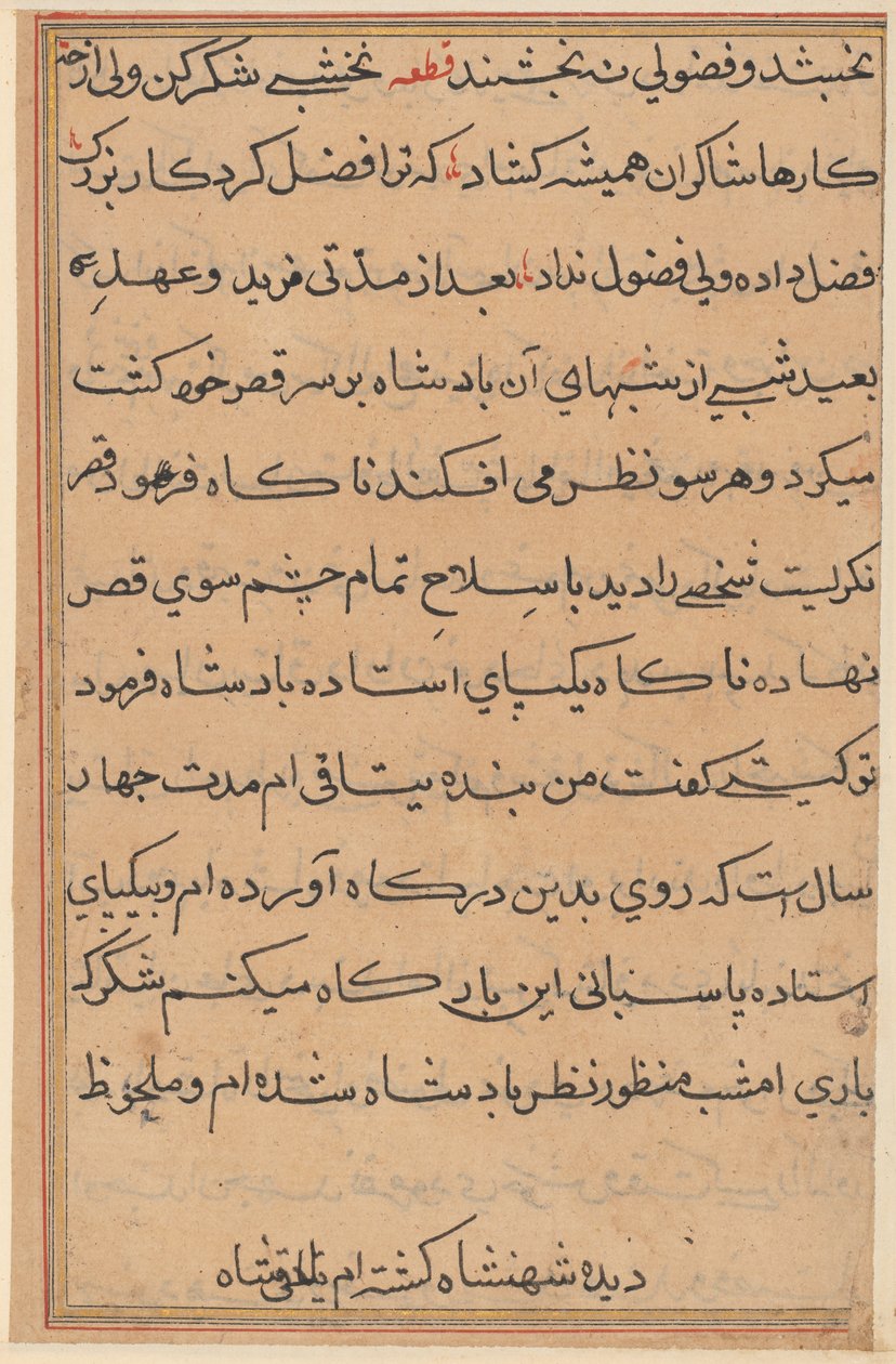 Page from Tales of a Parrot Tuti-nama: text page by Unbekannt