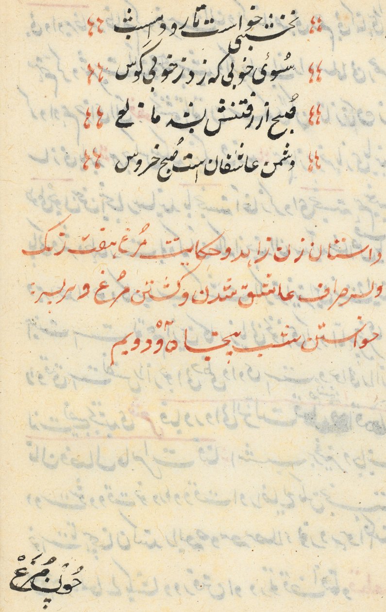 Page from Tales of a Parrot Tuti-nama: text page, c. 1560 by Unbekannt