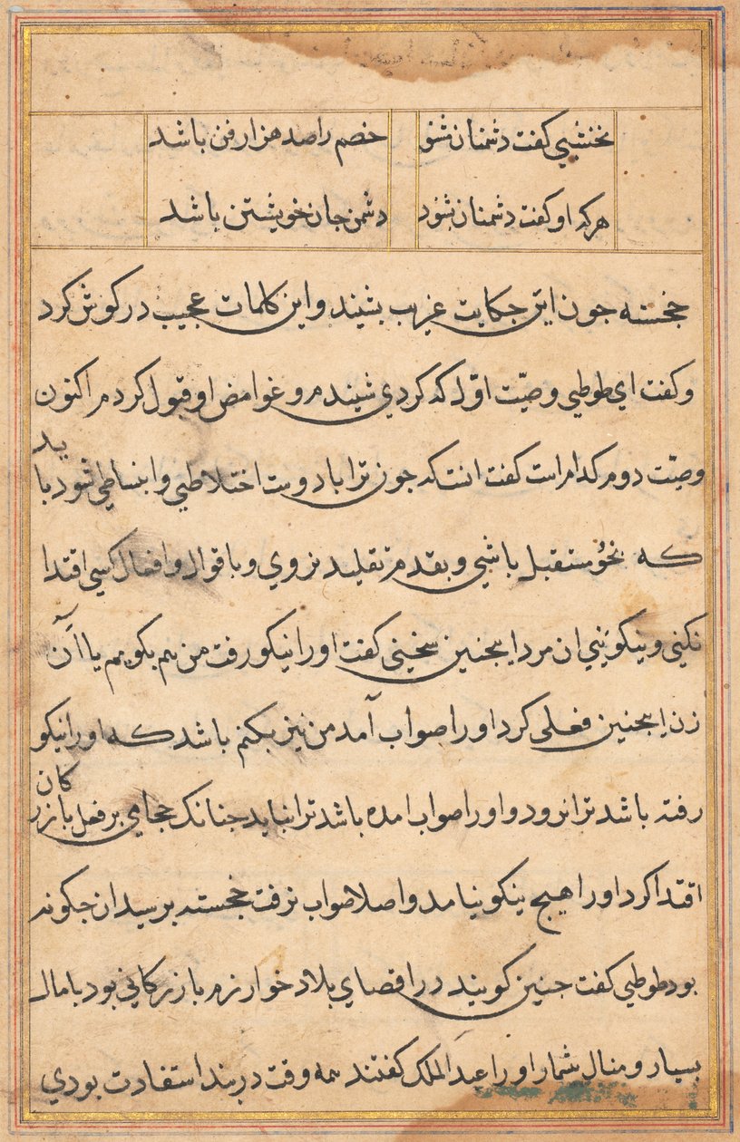 Page from Tales of a Parrot Tuti-nama: text page, c. 1560 by Unbekannt