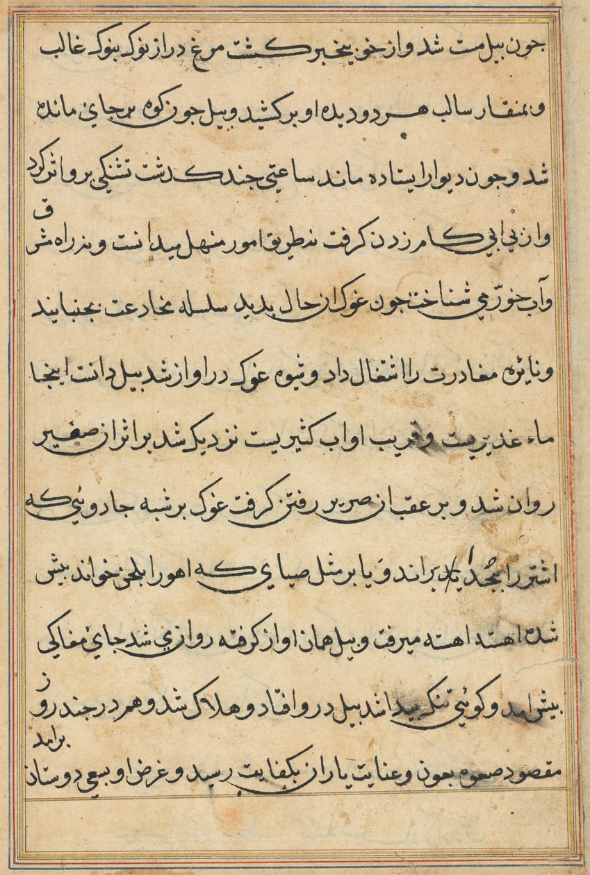 Page from Tales of a Parrot Tuti-nama: Text Page, c. 1560 by Unbekannt