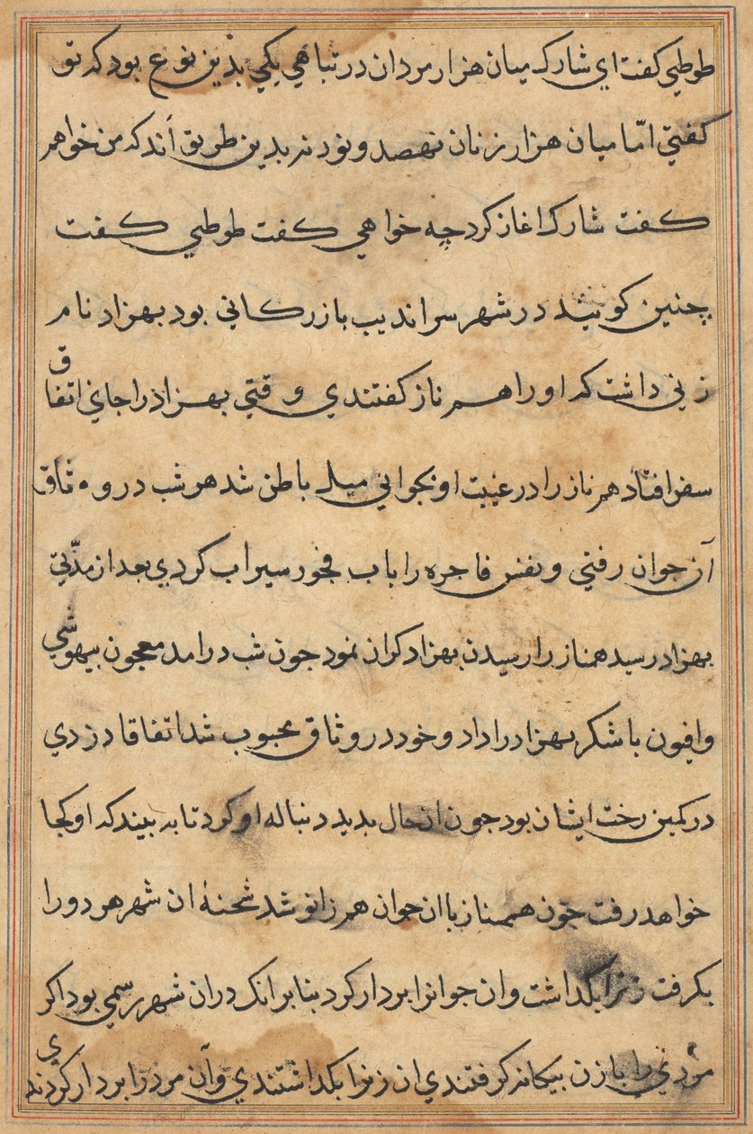 Page from Tales of a Parrot Tuti-nama: text page by Unbekannt