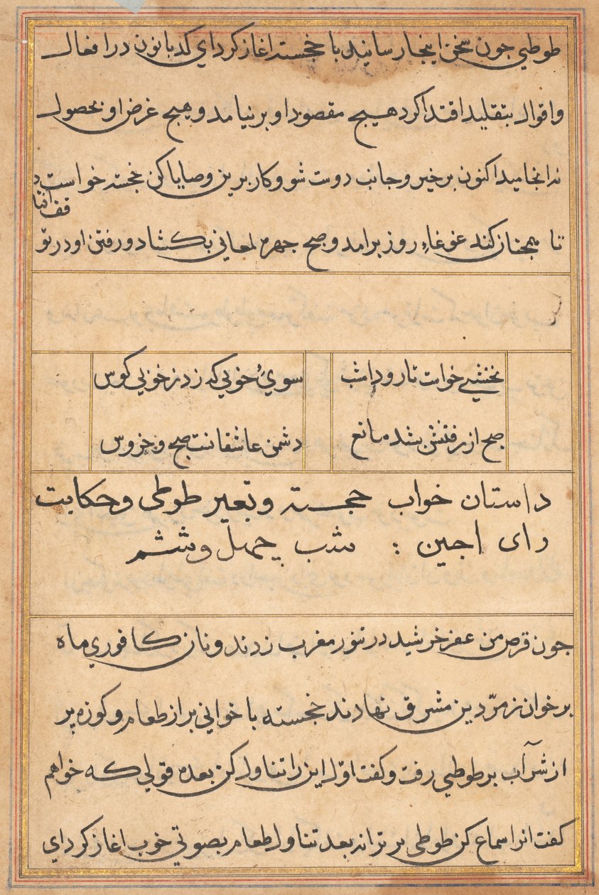 Page from Tales of a Parrot Tuti-nama: Text Page by Unbekannt