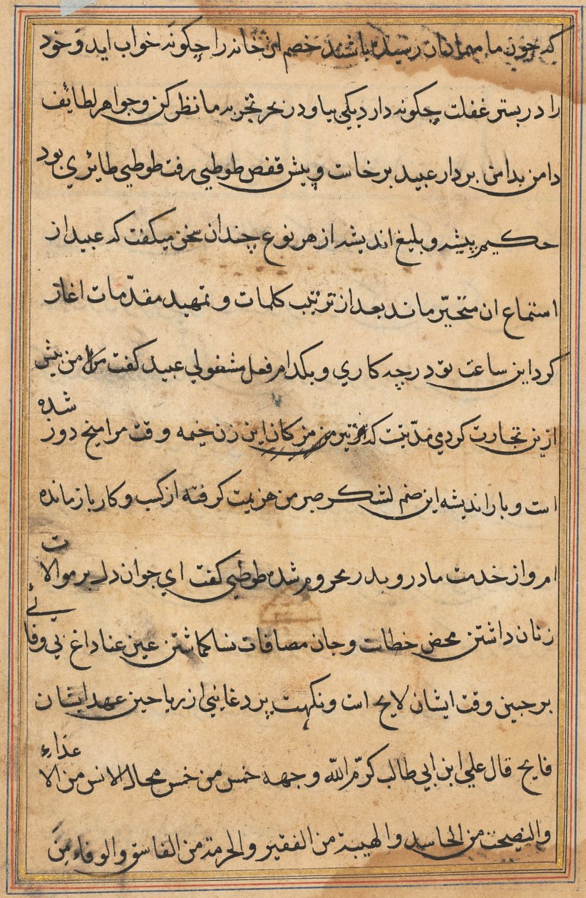 Page from Tales of a Parrot Tuti-nama: text page by Unbekannt