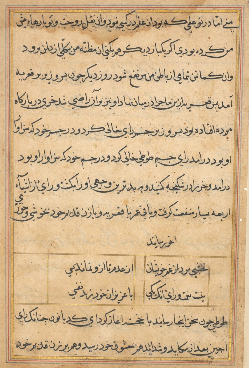 Page from Tales of a Parrot Tuti-nama: text page by Unbekannt