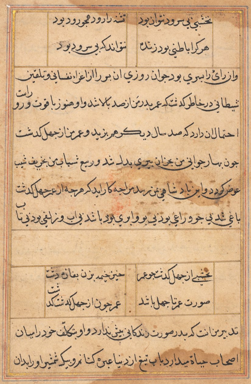 Page from Tales of a Parrot Tuti-nama: text page, c. 1560 by Unbekannt