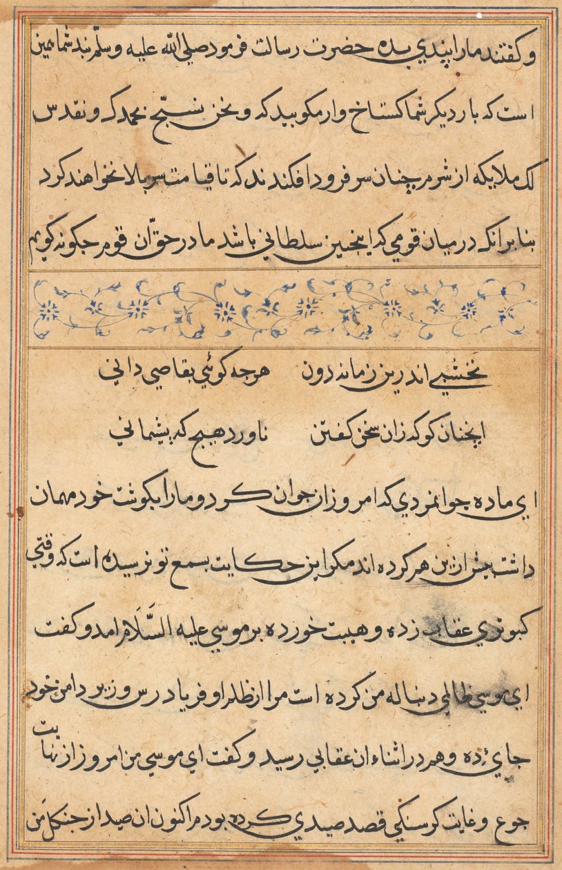 Page from Tales of a Parrot Tuti-nama: text page by Unbekannt