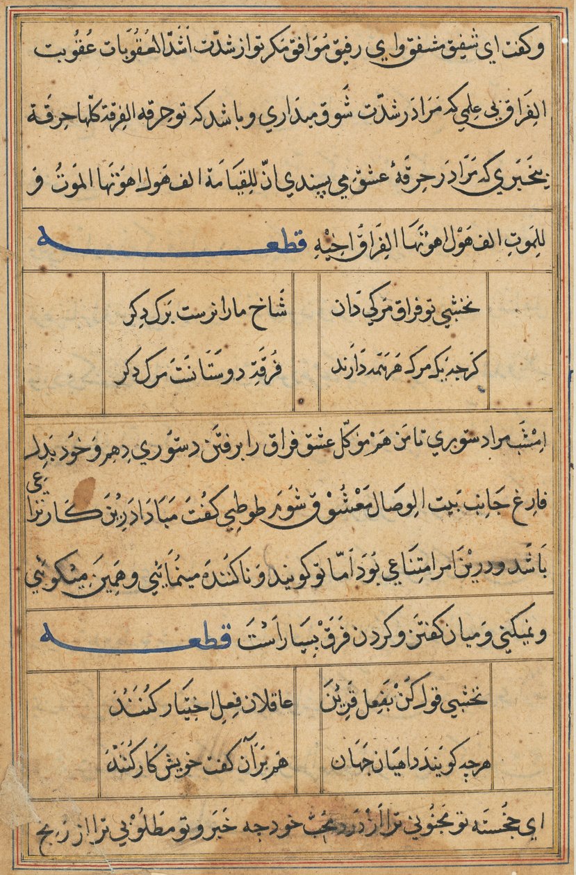 Page from Tales of a Parrot Tuti-nama: text page by Unbekannt