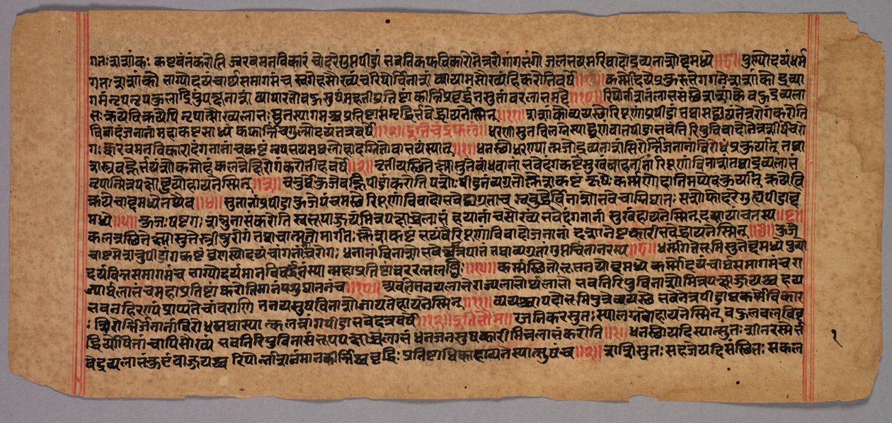Page from a Jaina Manuscript, 1400s-1500s by Unbekannt