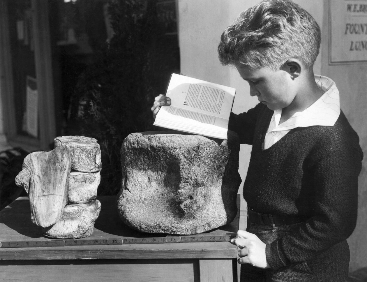 Palos Verdes, California: c.1927 A young boy studies archeology with the use of a fossilized prehistoric vertebrae found in the nearby hills. by Unbekannt