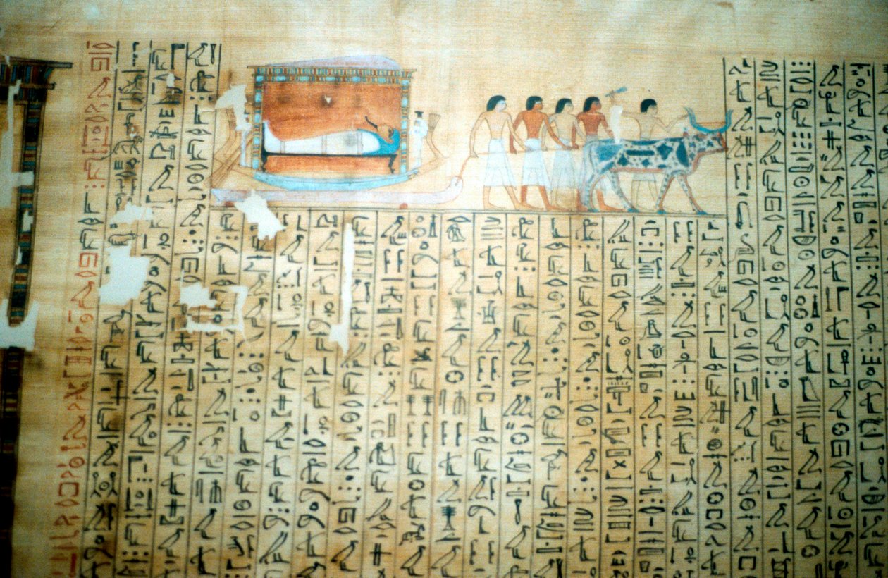 Papyrus from an Ancient Egyptian Book of the Dead by Unbekannt