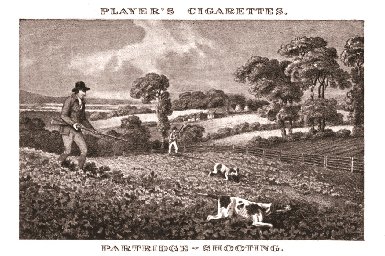 Partridge-Shooting, 1924 by Unbekannt