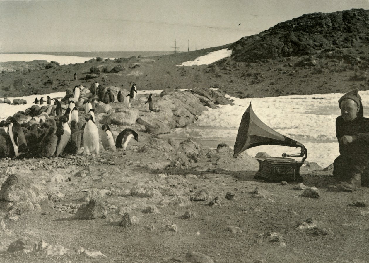 Penguins Listening to the Gramophone During the Summer by Unbekannt