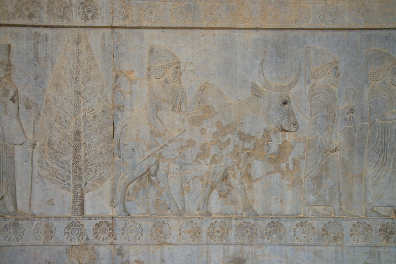 Persepolis, Iran by Unbekannt