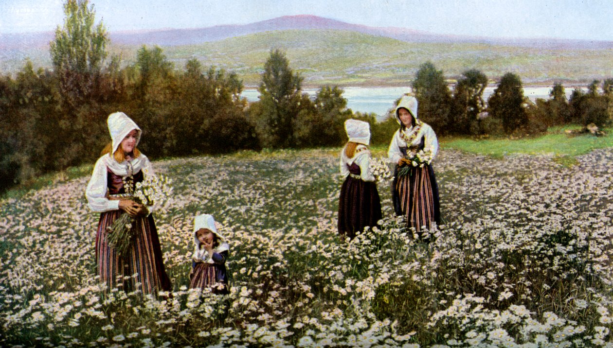 Picking Flowers in a Meadow Near Leksand, Sweden by Unbekannt