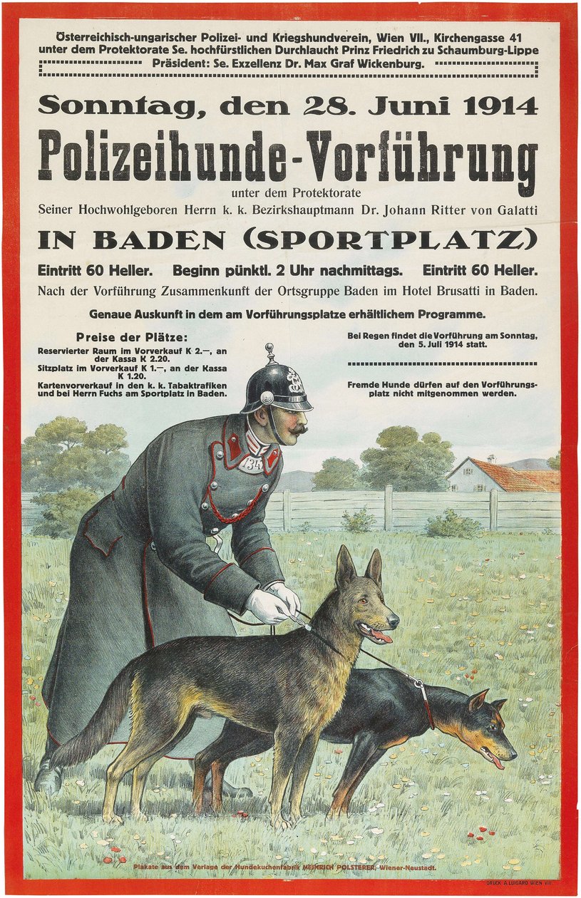 Police Dog Demonstration in Baden, 1914 by Unbekannt