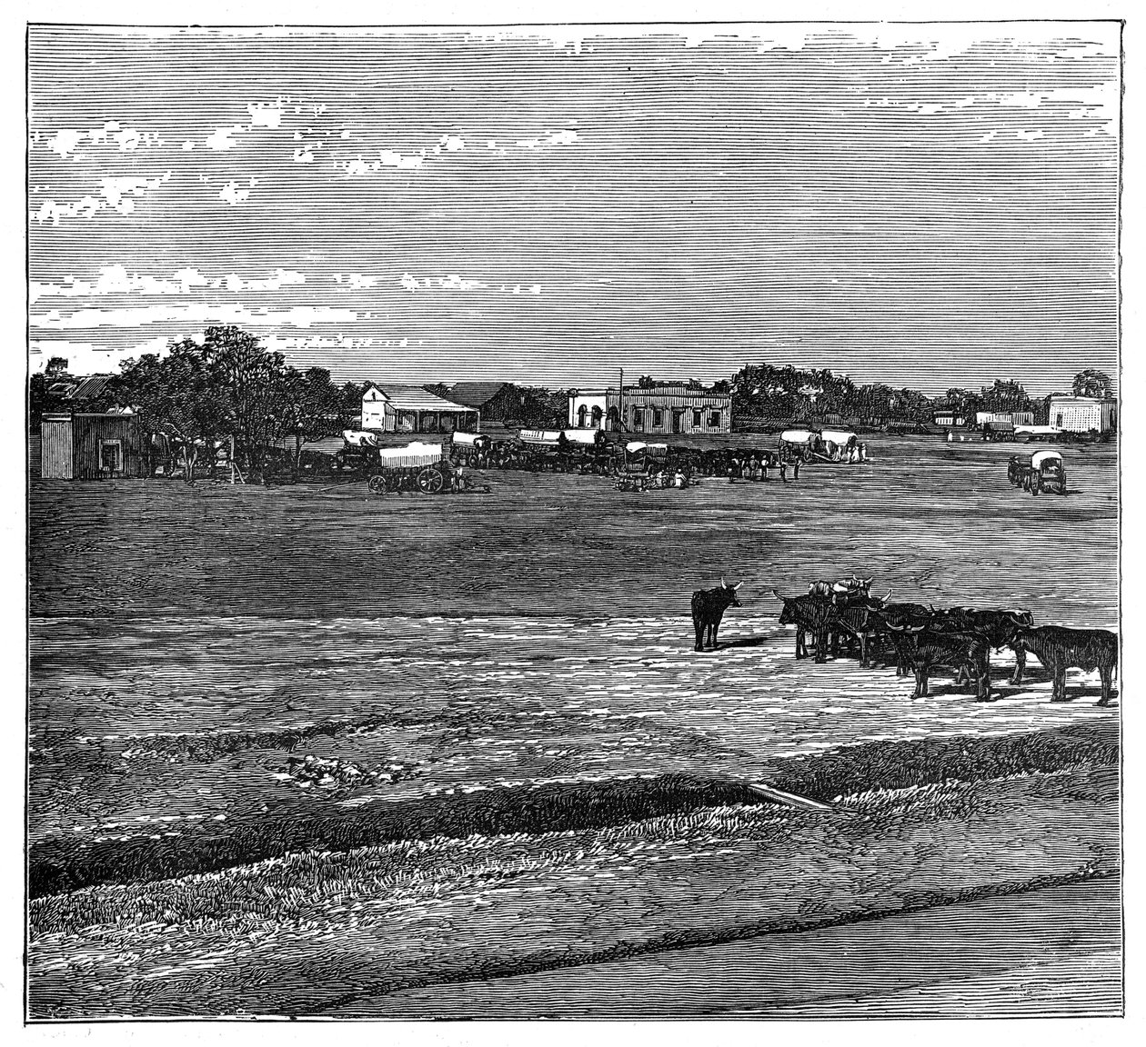 Potchefstroom, the Transvaal, South Africa, c1890 by Unbekannt