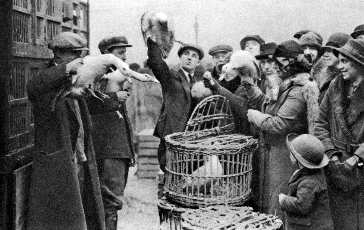 Poultry Merchants, Caledonian Market, London, 1926-1927 by Unbekannt