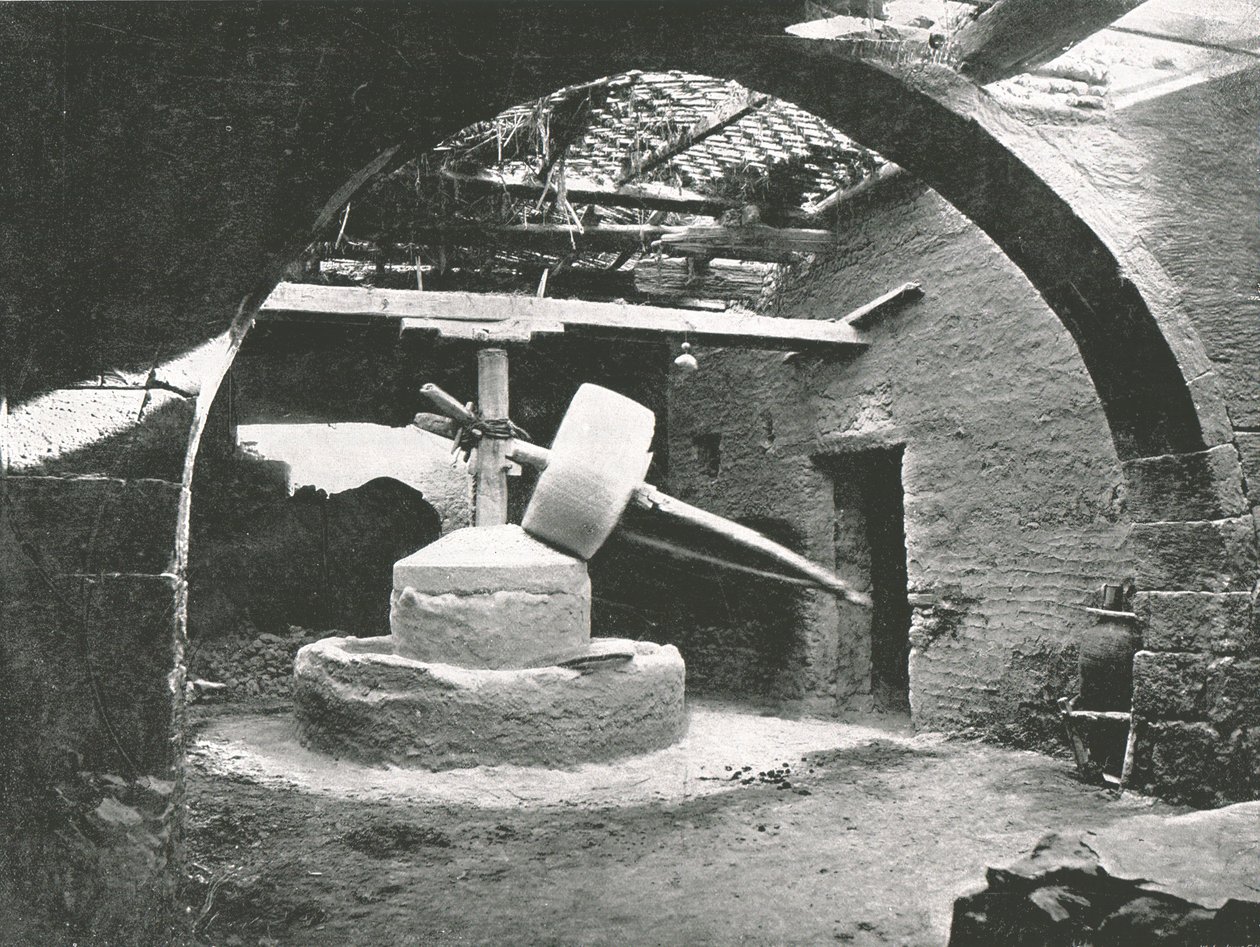 Primitive corn-mill, Nile Delta, Egypt, 1895 by Unbekannt