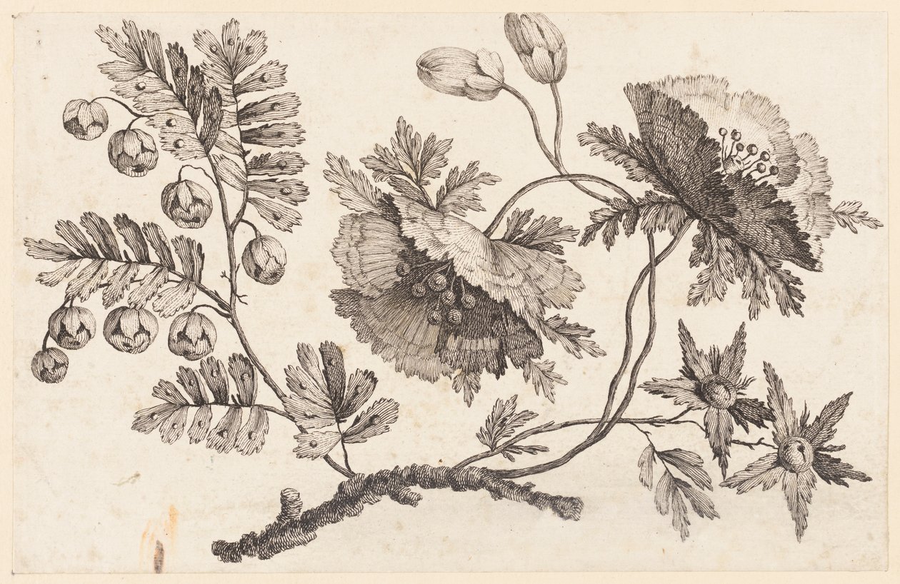 Print by Unbekannt