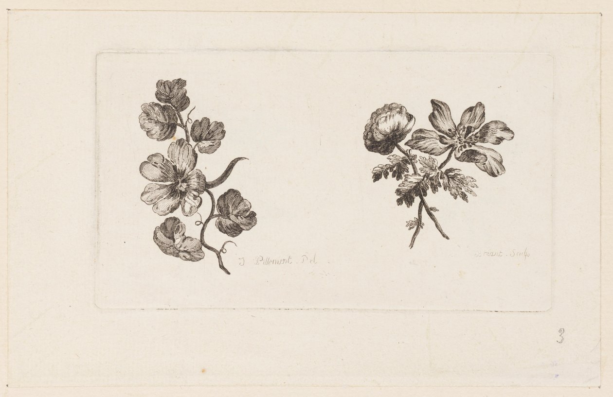 Print by Unbekannt