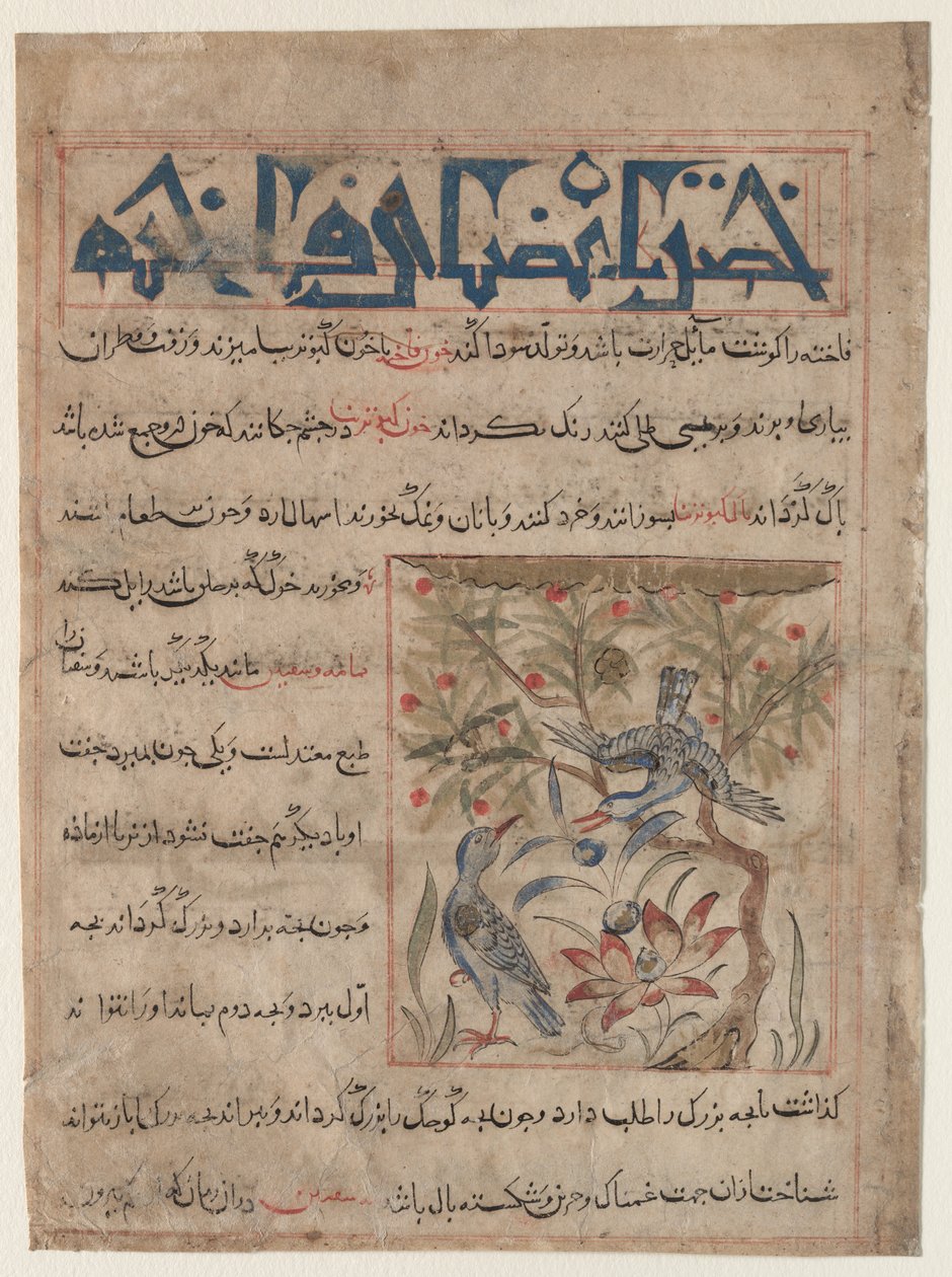 Qualities of Ringdoves (recto), On the Benefits of Quails (verso) by Unbekannt