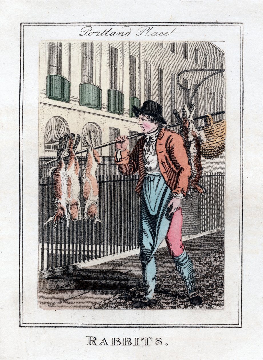 Rabbits, Portland Place, London by Unbekannt