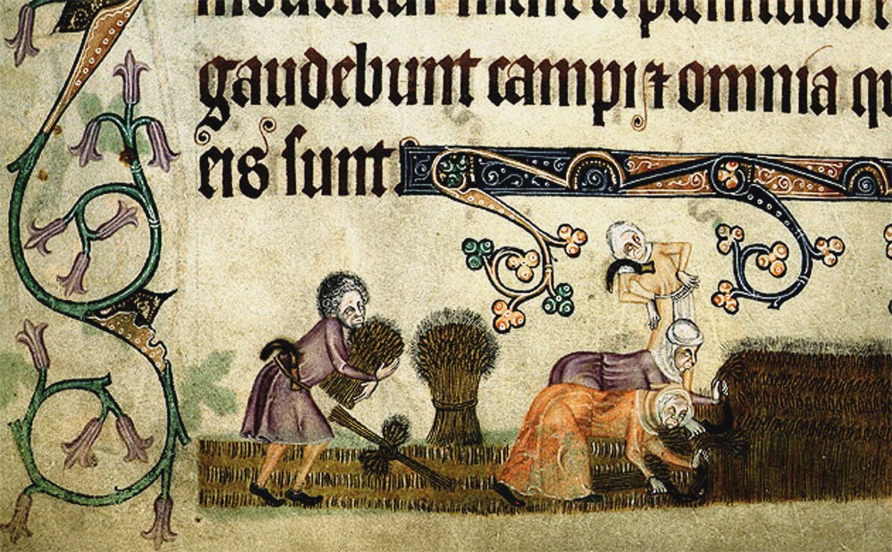 Reaping and Binding Sheaves from the Luttrell Psalter by Unbekannt
