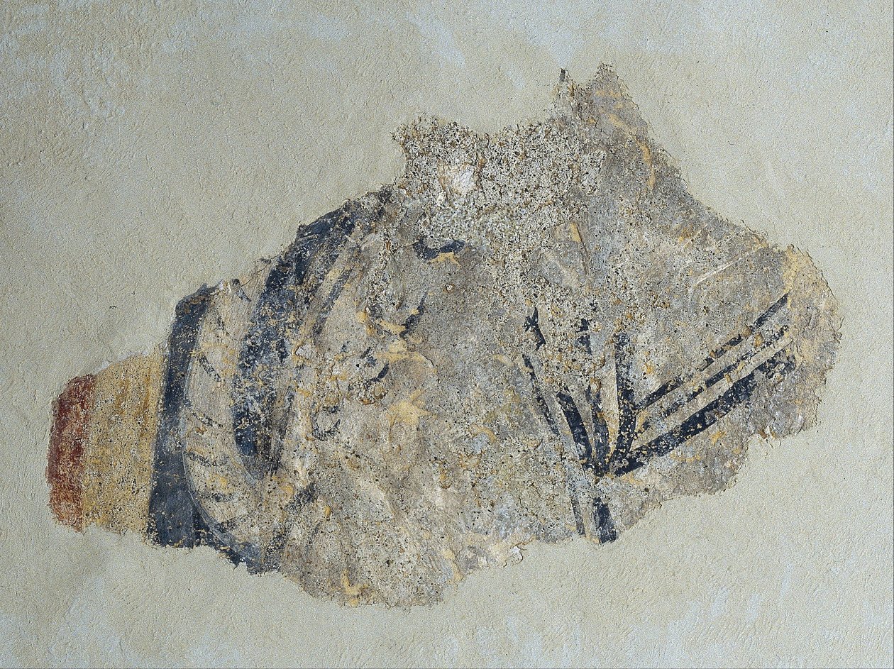 Remains of a Quadruped by Unbekannt