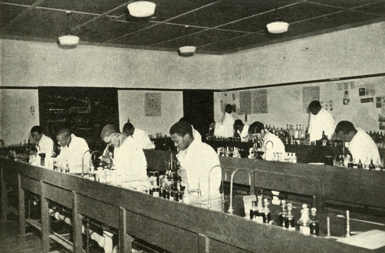 Scenes in a Native College - Students of Bacteriology at the Fort Hare Native College at Alice by Unbekannt