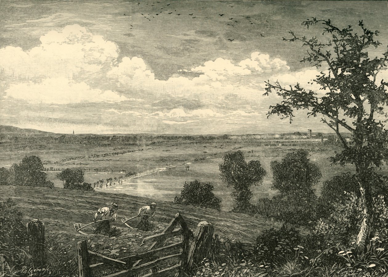 Sedgemoor, from Middlezoy, 1898 by Unbekannt