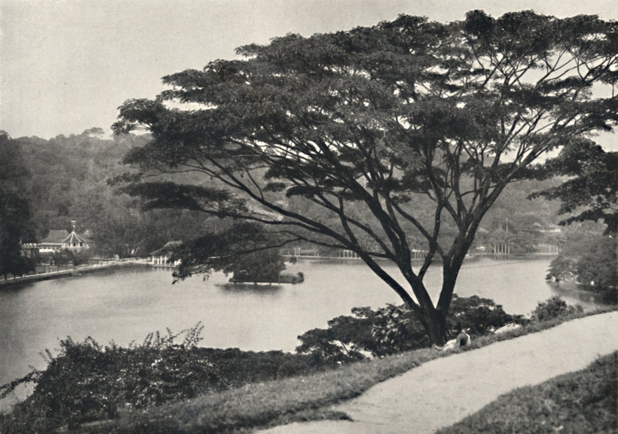 Temple of the Sacred Tooth and Library in Kandy, Seen from Victoria Drive to the East by Unbekannt