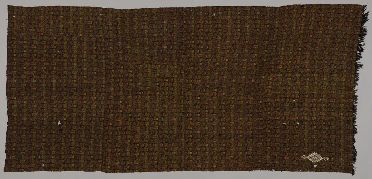 Shawl, Late 1800s by Unbekannt