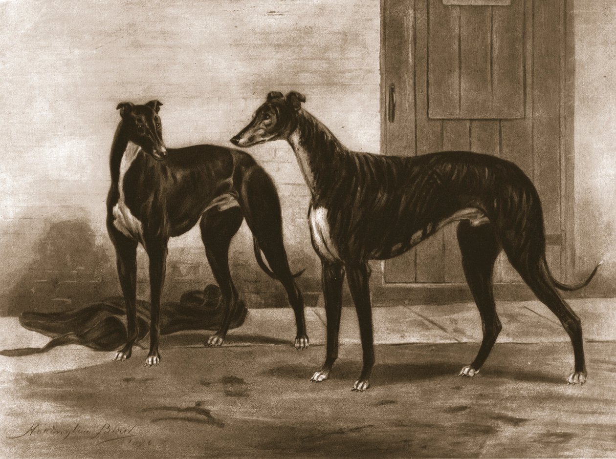 Simonian and Fullerton, c1891, 1911 by Unbekannt