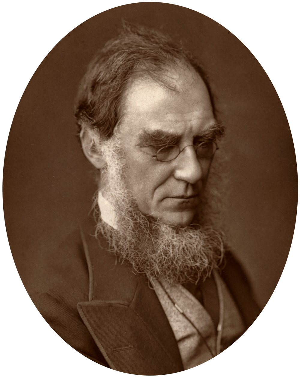 Sir Joseph Dalton Hooker, Director of Royal Gardens at Kew by Unbekannt