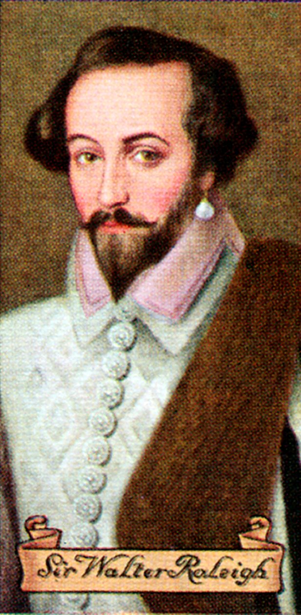 Sir Walter Raleigh, Taken from a Series of Cigarette Cards by Unbekannt